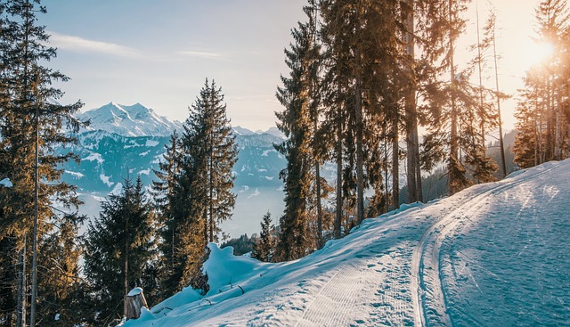 Tours de esquí: las montañas te esperan con nieve fresca